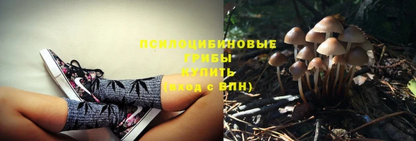 экстази Кукмор
