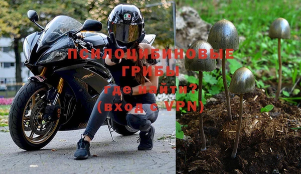 экстази Кукмор