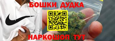 прущие грибы Кандалакша