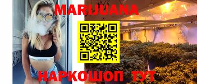 прущие грибы Кандалакша