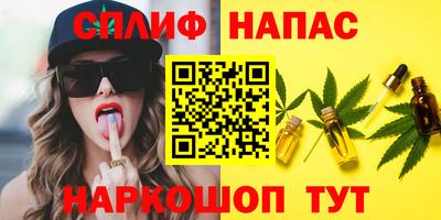 герыч Камышлов