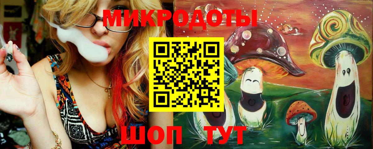Новороссийск  Псилоцибиновые грибы прущие грибы  Вход с VPN  Галлюциногенные грибы Magic Shrooms 